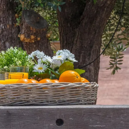 Hoya De La Cebada Holiday home *